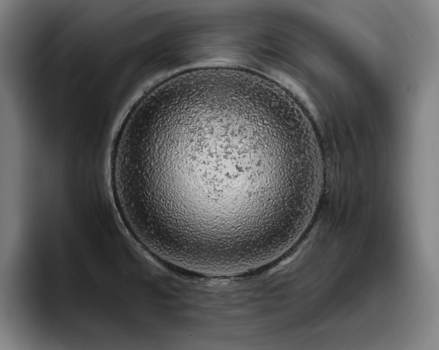 X0000093431480200710121153