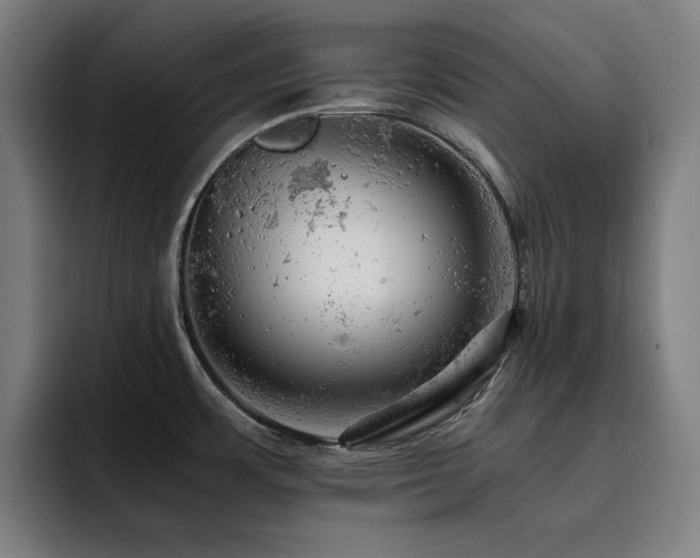 X0000093431483200710121152