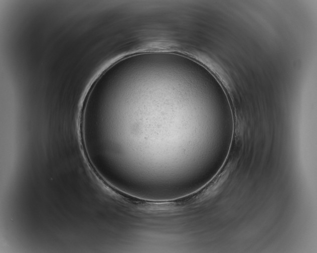 X0000093431486200710121152