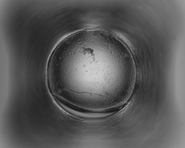 X0000093431487200710121152