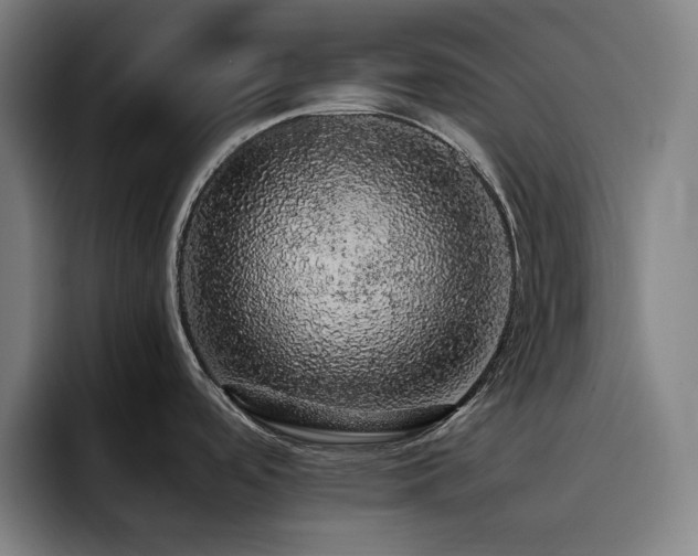 X0000093431488200710121152