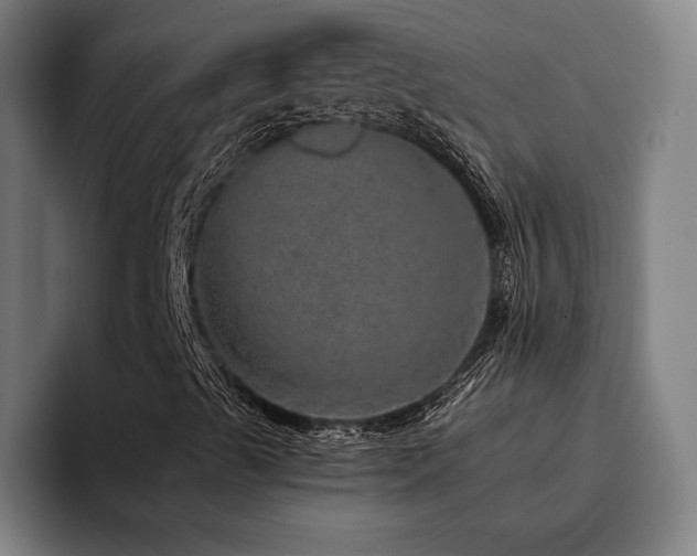 X0000093431489200710121152