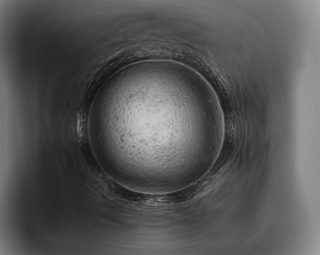 X0000093431490200710121152