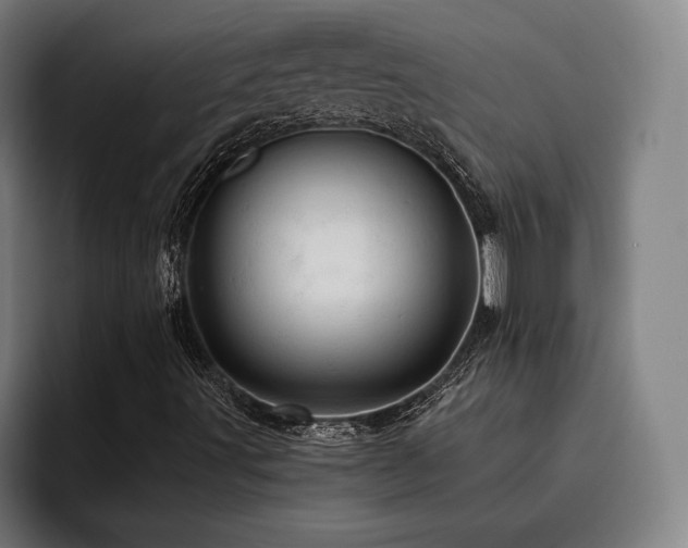 X0000093431491200710121152