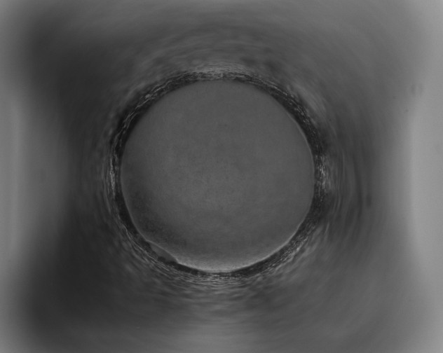 X0000093431493200710121152