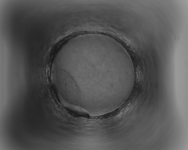 X0000093431494200710121152