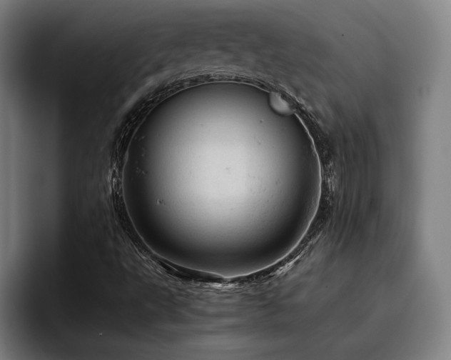 X0000093431495200710121152