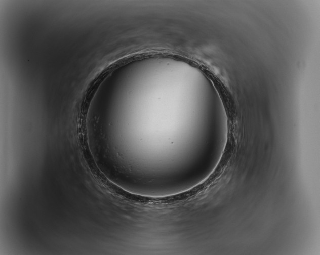 X0000093431496200710121152