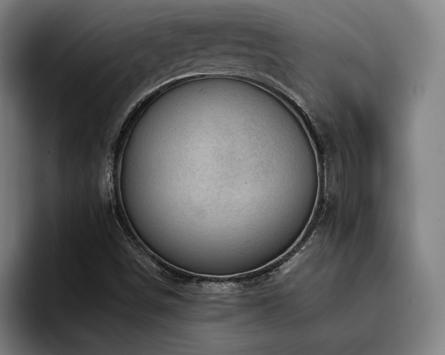 X0000093431498200710121152