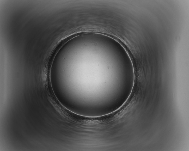 X0000093431499200710121152