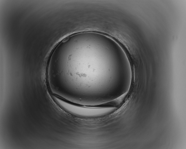 X0000093431500200710121152
