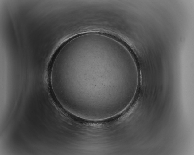 X0000093431501200710121152