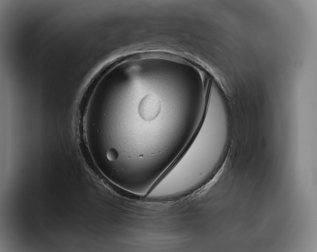 X0000093431502200710121152