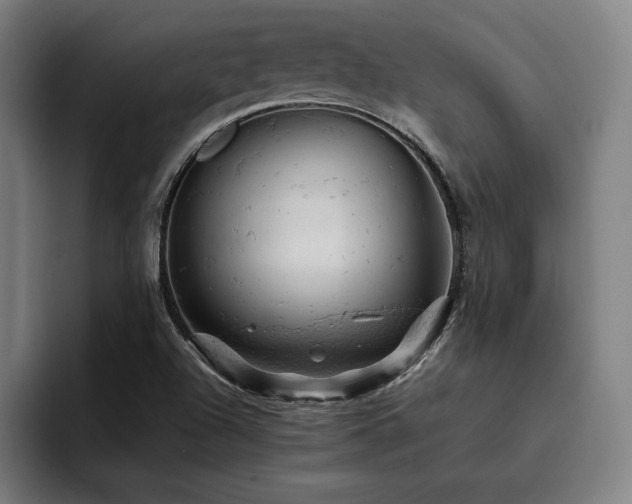 X0000093431504200710121152