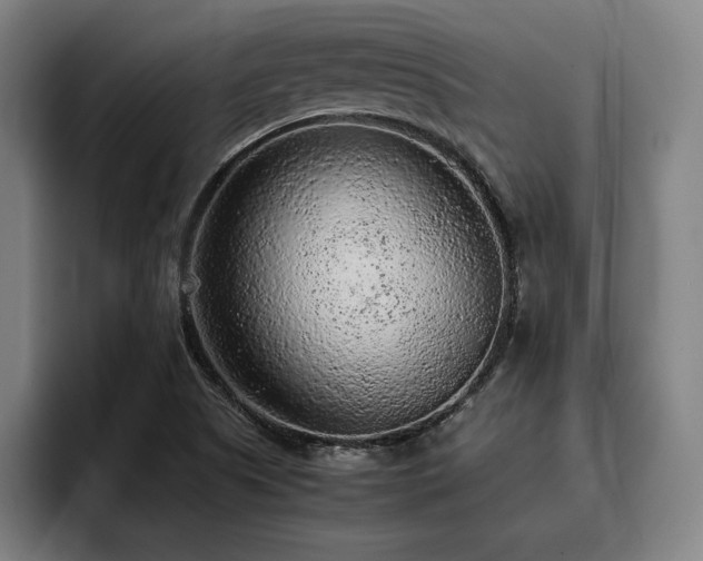 X0000093431505200710121152