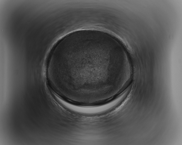 X0000093431506200710121152
