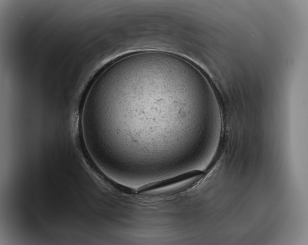 X0000093431507200710121152
