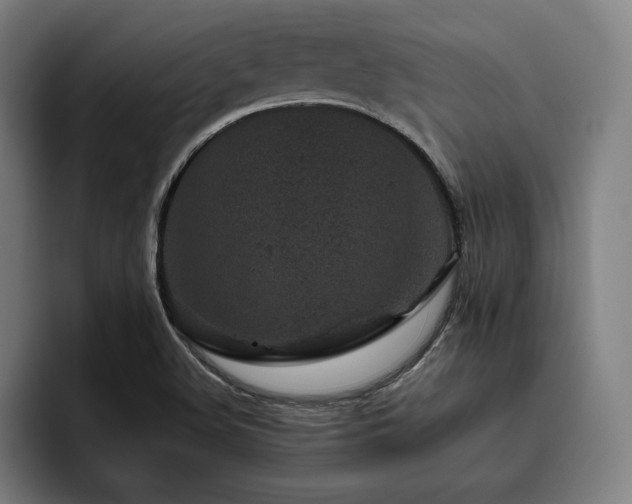 X0000093431508200710121152