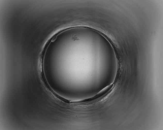 X0000093431510200710121152