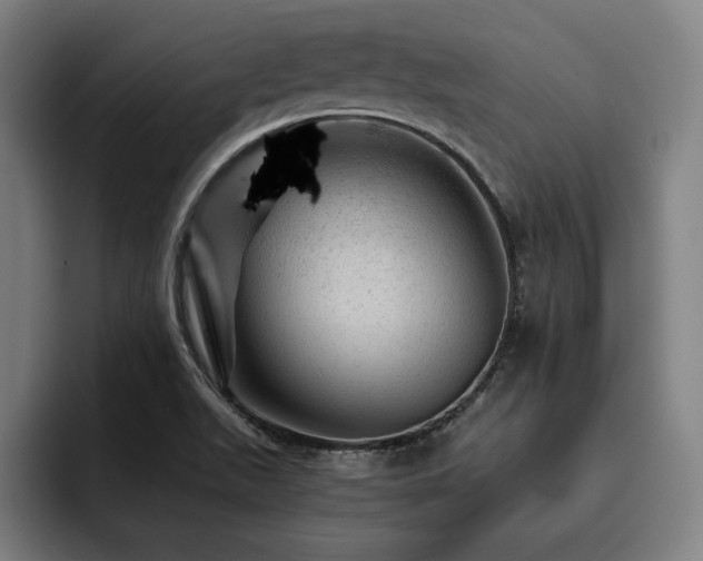 X0000093431511200710121152