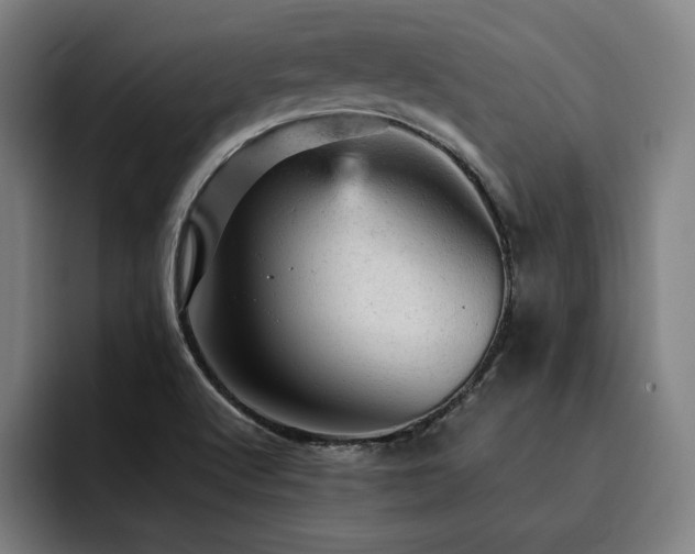 X0000093431512200710121152
