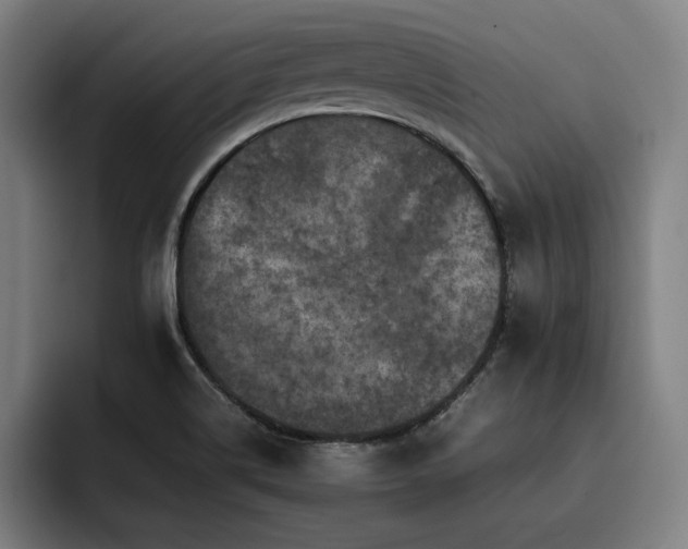 X0000093431514200710121152
