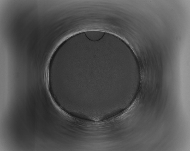 X0000093431515200710121152