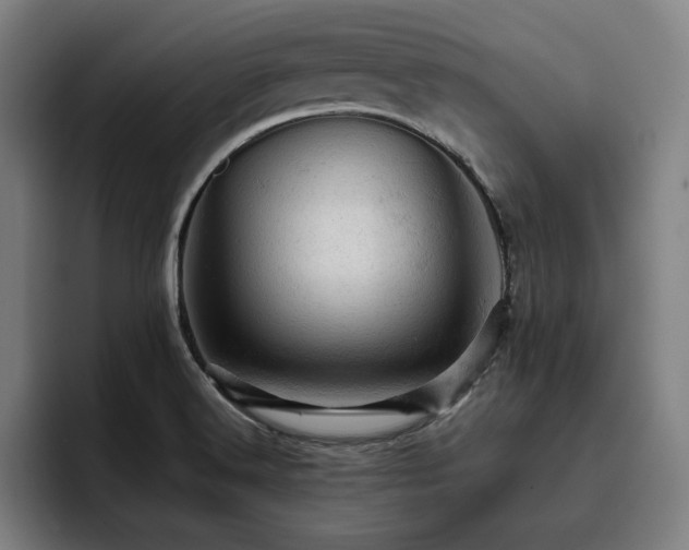 X0000093431516200710121152