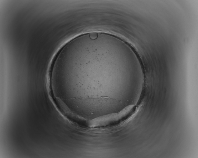 X0000093431517200710121152