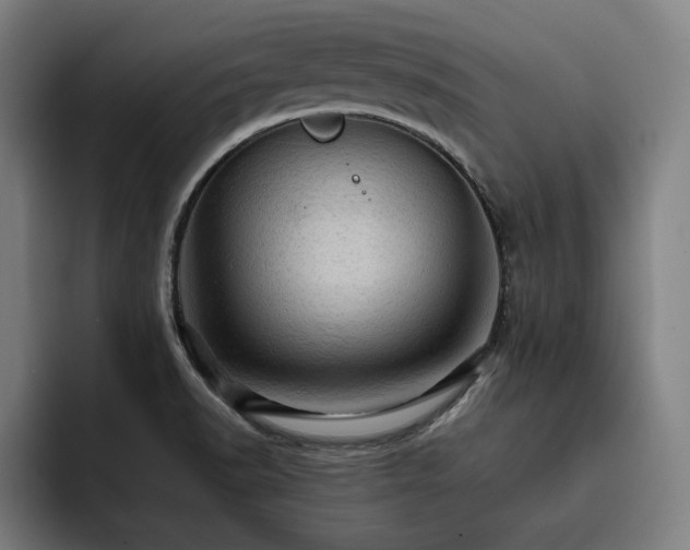 X0000093431518200710121152