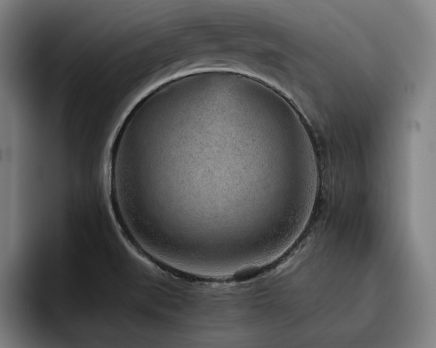 X0000093431519200710121152