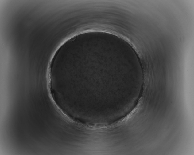 X0000093431522200710121152