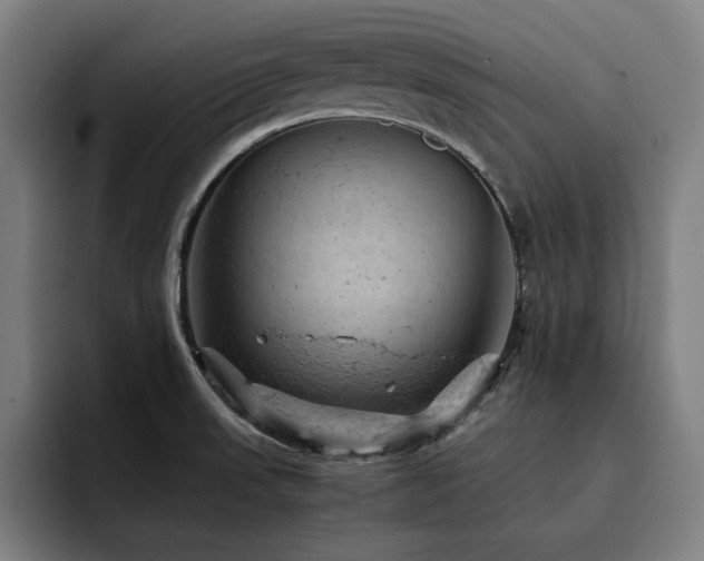 X0000093431523200710121152
