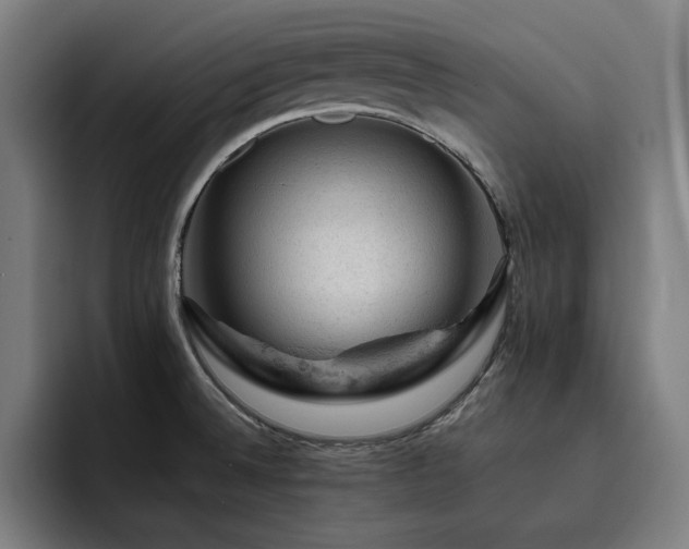 X0000093431524200710121152