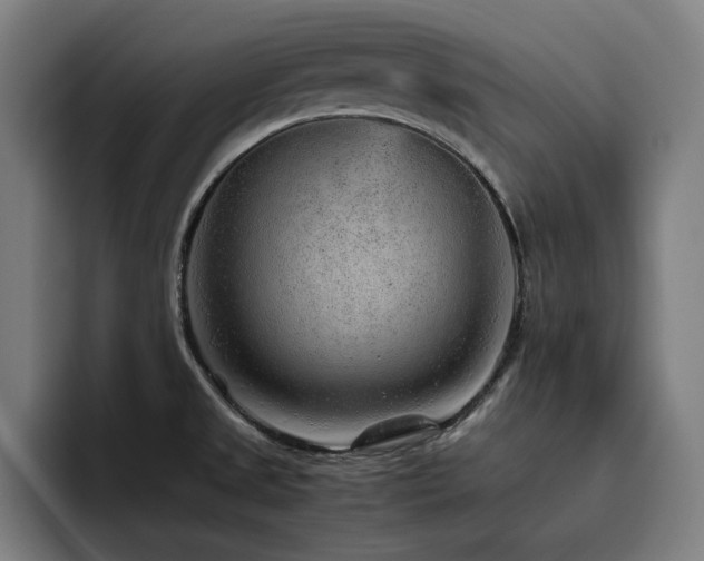 X0000093431525200710121152