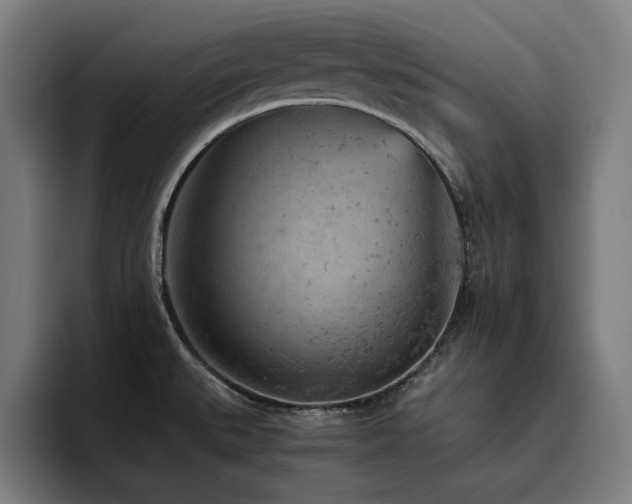 X0000093431527200710121152