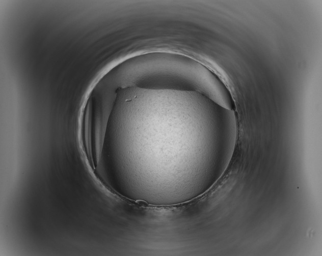 X0000093431528200710121152