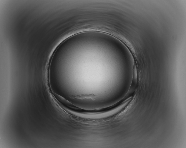X0000093431530200710121152
