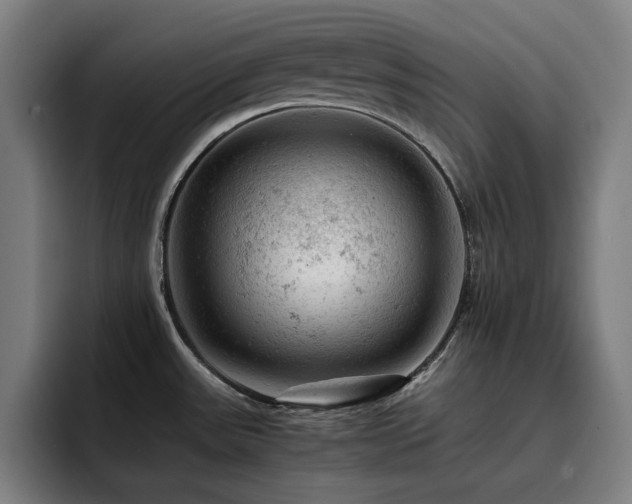 X0000093431531200710121152