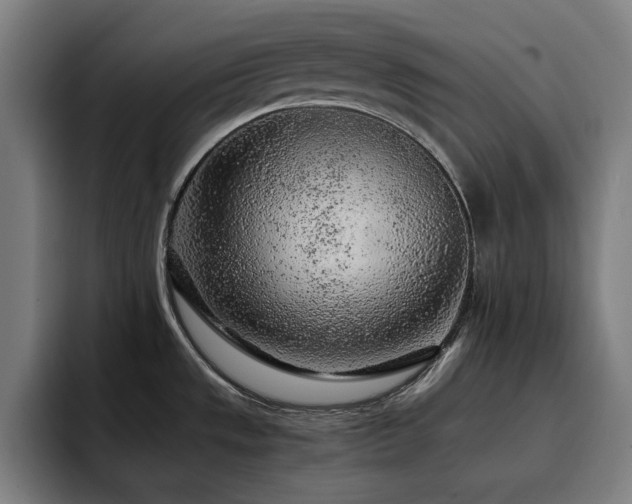 X0000093431533200710121152