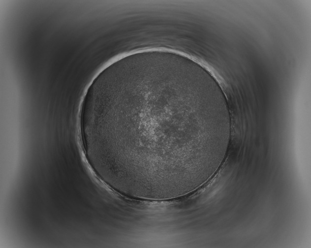 X0000093431534200710121152