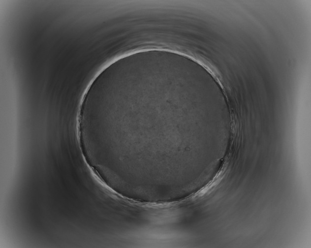 X0000093431535200710121152