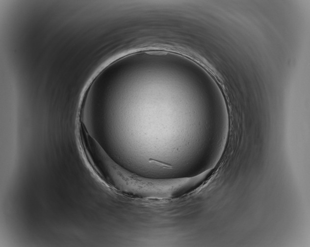 X0000093431536200710121152