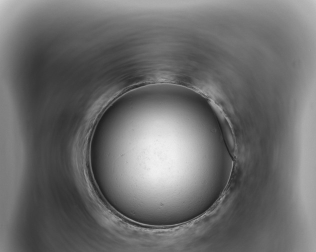 X0000093430001200710191036