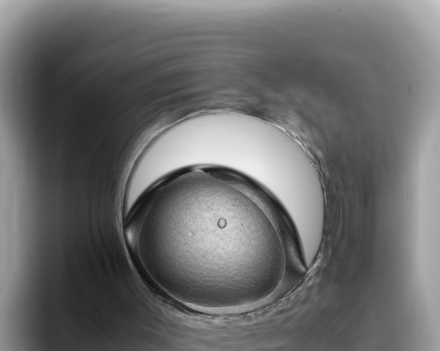 X0000093430003200710191036