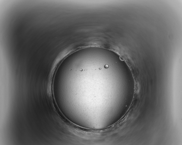 X0000093430004200710191036