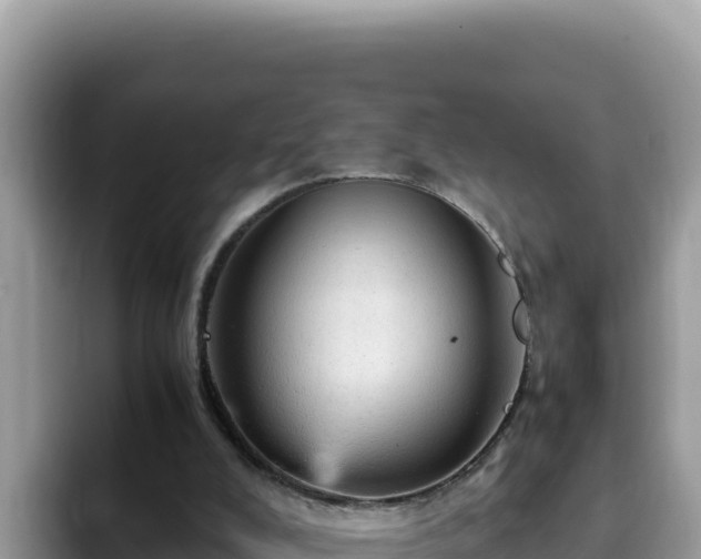 X0000093430008200710191036