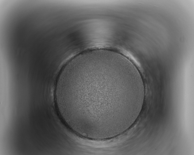 X0000093430010200710191036