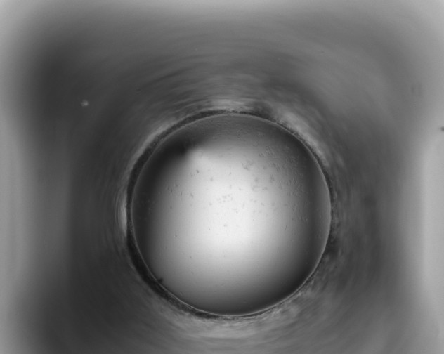 X0000093430011200710191036