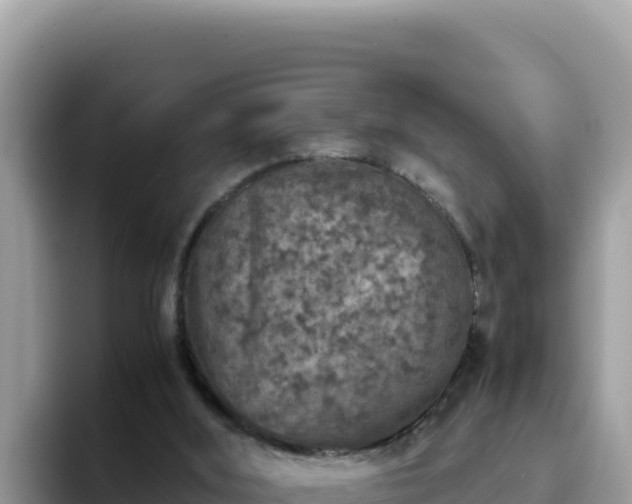 X0000093430012200710191036